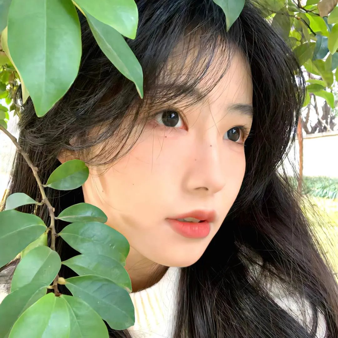 高度机密 在线观看